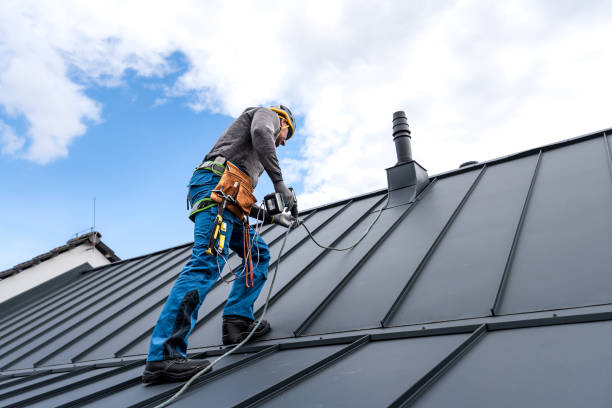 Best Chimney Flashing Repair  in Ovid, MI